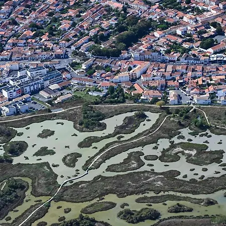 Belle Maisonnette Avec Jardin 2 Pas Du Vieux Port *
