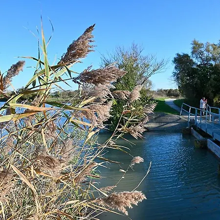 Сasa de vacaciones Belle Maisonnette Avec Jardin 2 Pas Du Vieux Port *